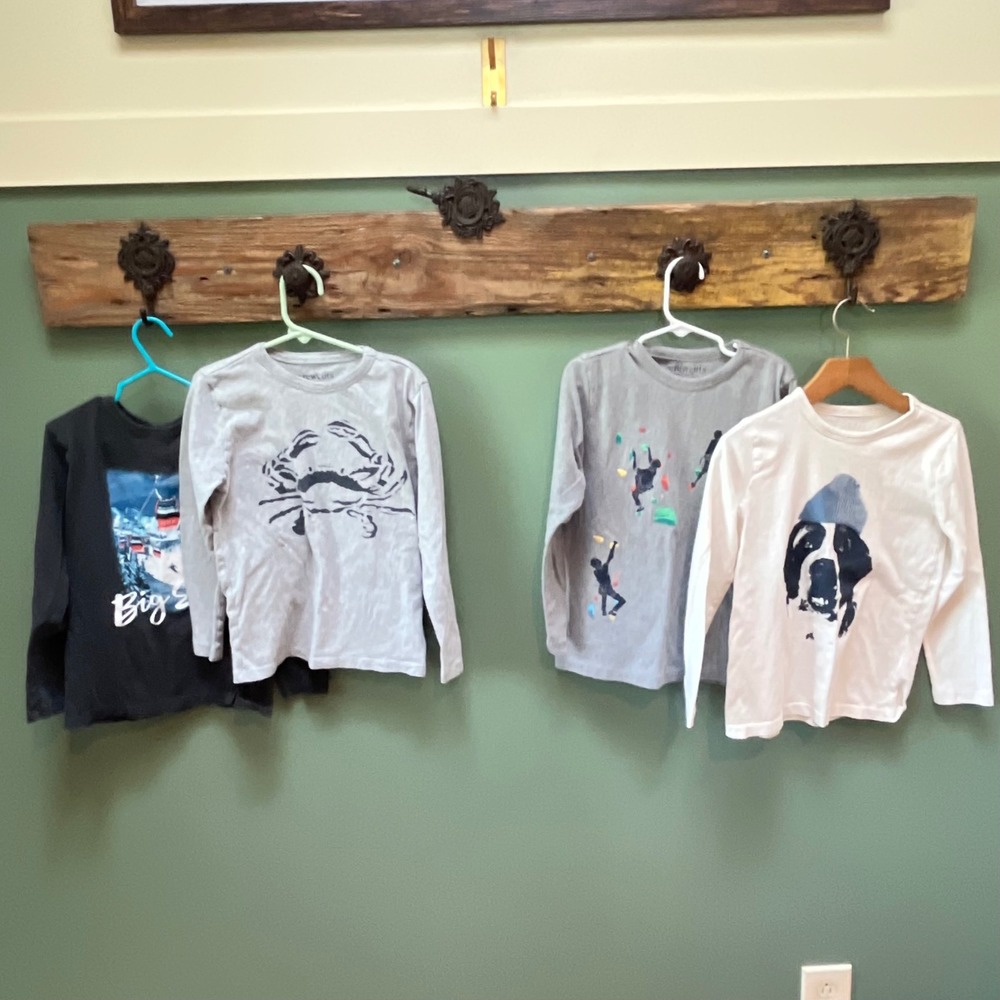 Crewcuts Kids Long Sleeve Graphic Tee Bundle 4pk Big Sky Climbing Crab Dog S 6-7